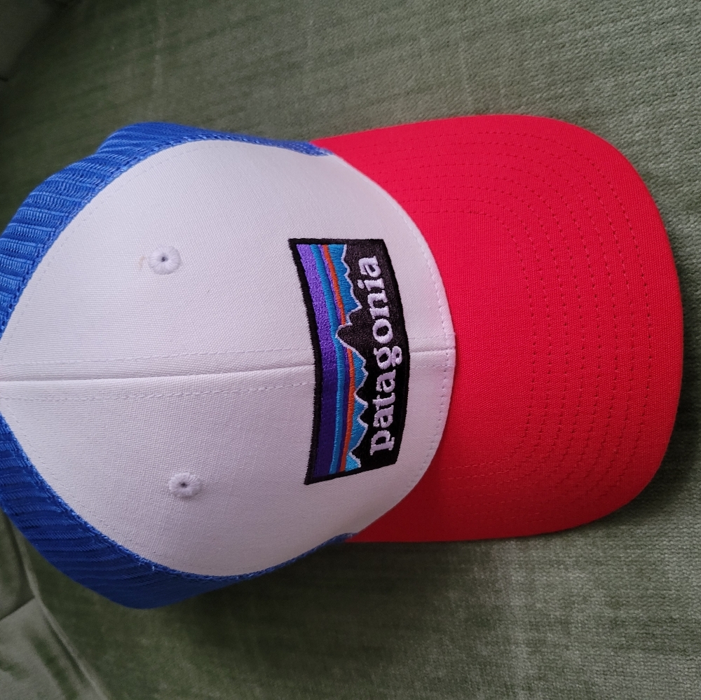 Unisex Patagonia baseball hat